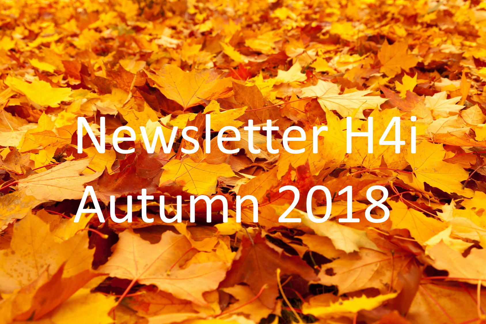 Newsletter Autumn 2018