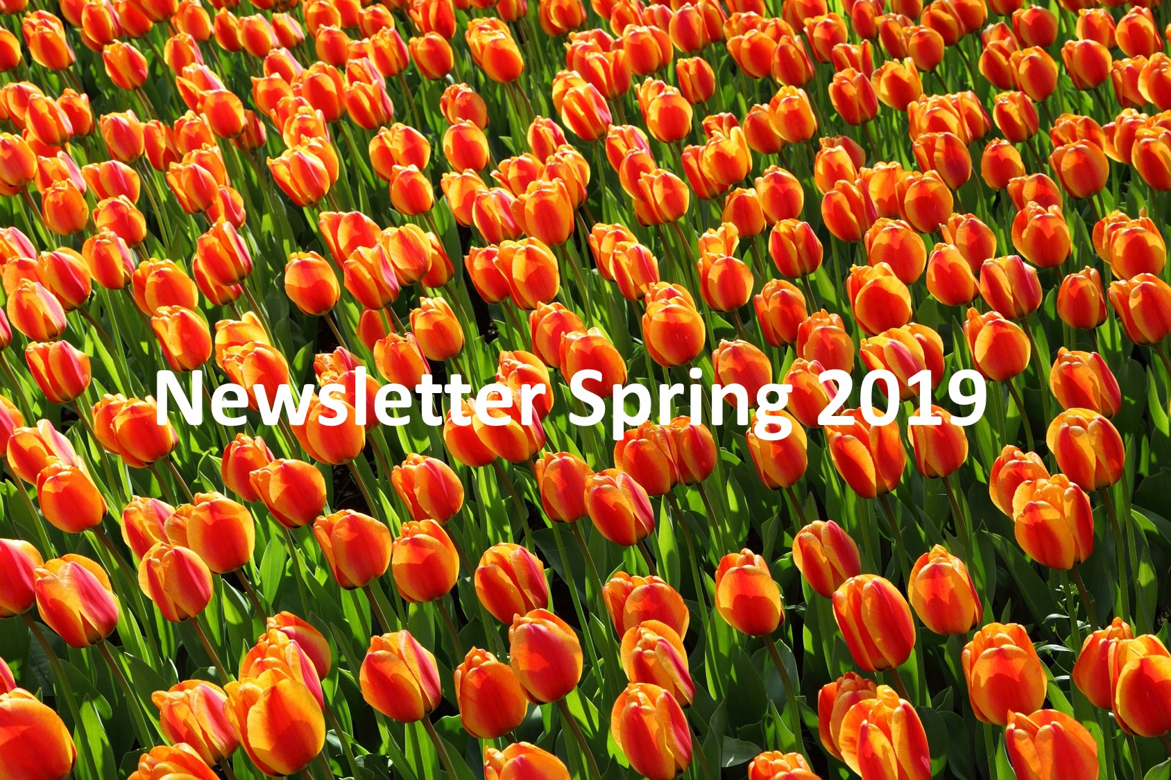 Newsletter Spring 2019