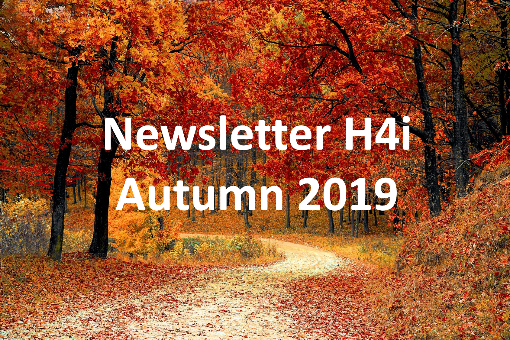 Newsletter Autumn 2019